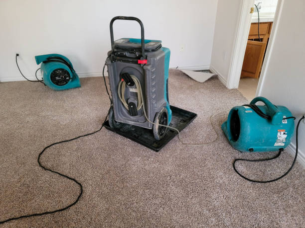 Best Professional water damage repair  in Oxon Hill, MD