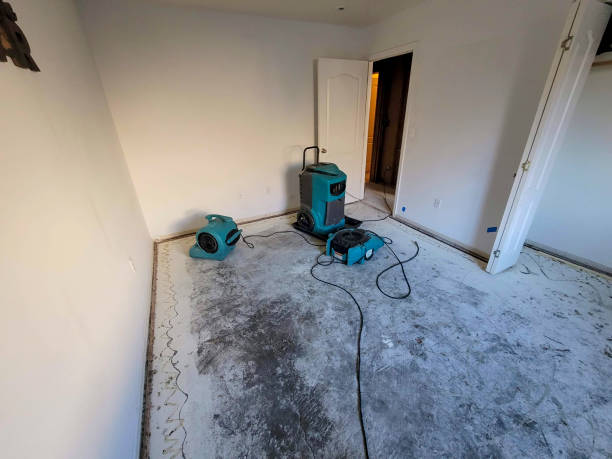 Best Commercial water damage restoration  in Oxon Hill, MD