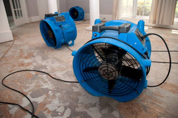 Best Sewage cleanup and water damage restoration  in Oxon Hill, MD