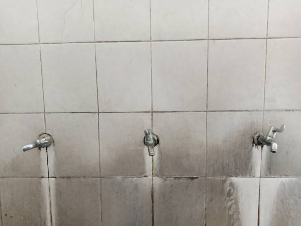 Best Ceiling water damage repair  in Oxon Hill, MD