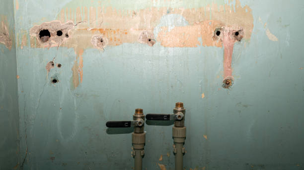 Best Flooded house restoration  in Oxon Hill, MD