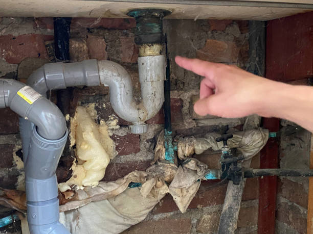 Best Flood damage cleanup  in Oxon Hill, MD