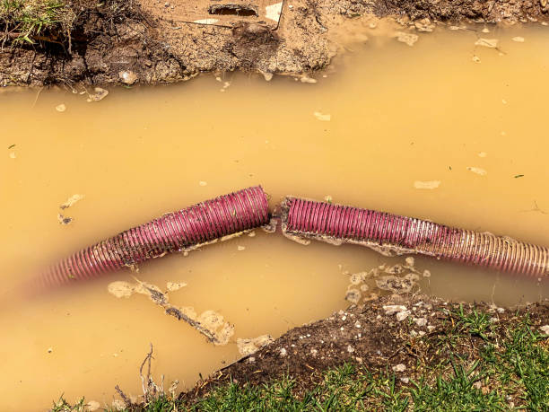 Best 24/7 water damage repair  in Oxon Hill, MD