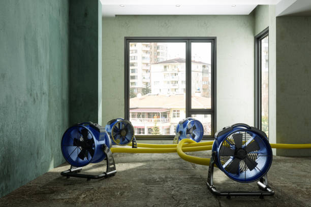 Best Carpet water damage restoration  in Oxon Hill, MD